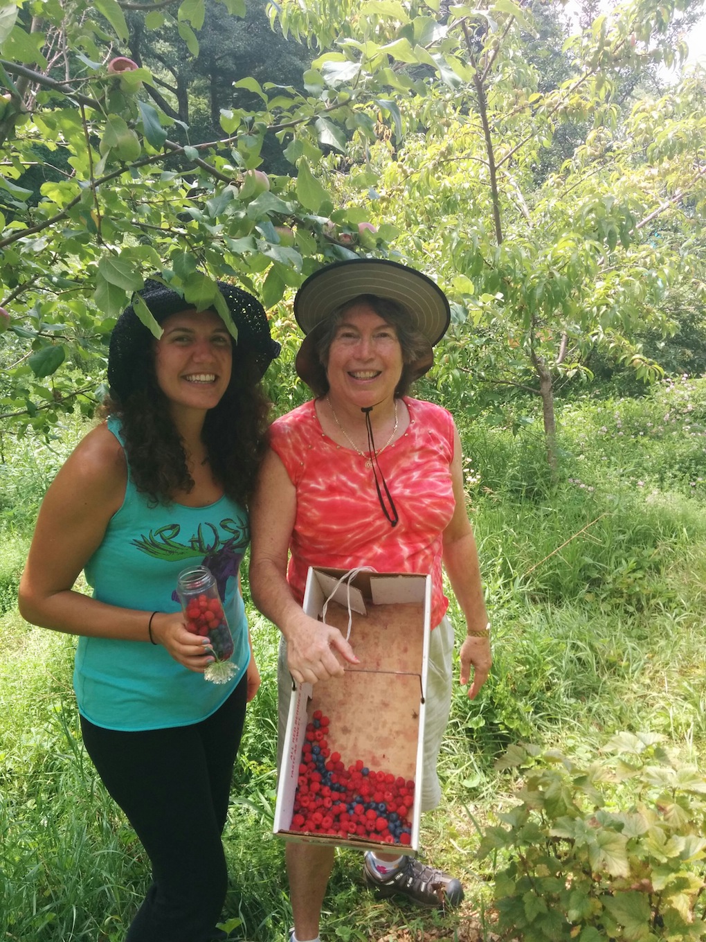 Adama Farm berry picking lores.jpg